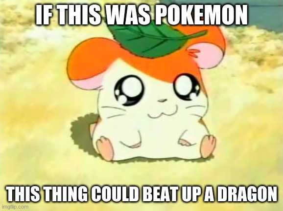 I don't know what anime this is | IF THIS WAS POKEMON; THIS THING COULD BEAT UP A DRAGON | image tagged in memes,hamtaro | made w/ Imgflip meme maker
