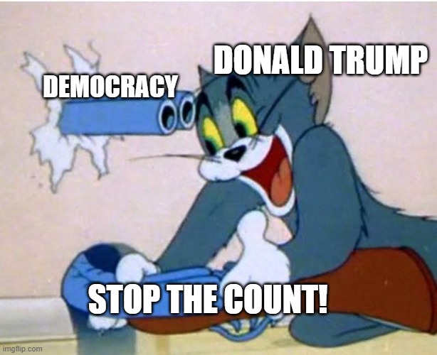 Stop the Count! | DONALD TRUMP; DEMOCRACY; STOP THE COUNT! | image tagged in tom and jerry,stop the count,donald trump,2020 elections,joe biden,president trump | made w/ Imgflip meme maker