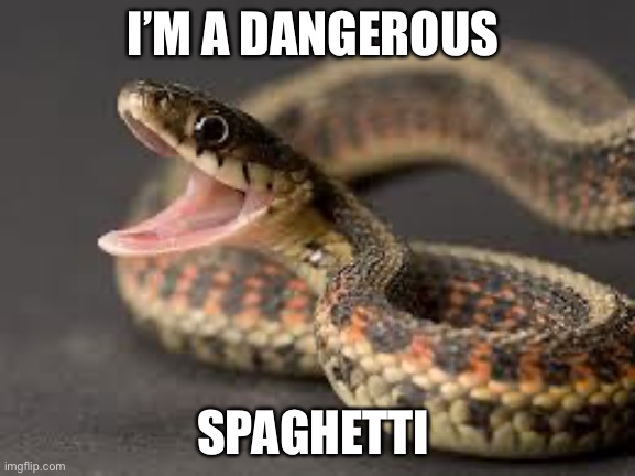 Warning Snake | I’M A DANGEROUS; SPAGHETTI | image tagged in warning snake | made w/ Imgflip meme maker
