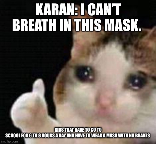 Approved crying cat | KARAN: I CAN’T BREATH IN THIS MASK. KIDS THAT HAVE TO GO TO SCHOOL FOR 6 TO 8 HOURS A DAY AND HAVE TO WEAR A MASK WITH NO BRAKES | image tagged in approved crying cat | made w/ Imgflip meme maker