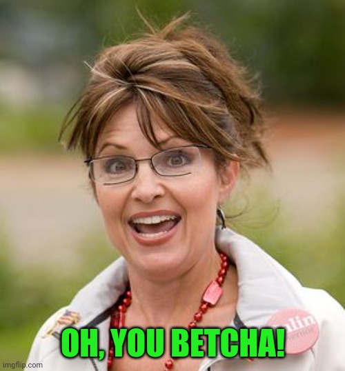 Sarah Palin | OH, YOU BETCHA! | image tagged in sarah palin | made w/ Imgflip meme maker