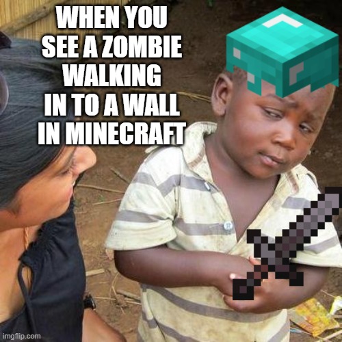 this is my stupid minecraft meme | WHEN YOU SEE A ZOMBIE WALKING IN TO A WALL IN MINECRAFT | image tagged in minecraft | made w/ Imgflip meme maker