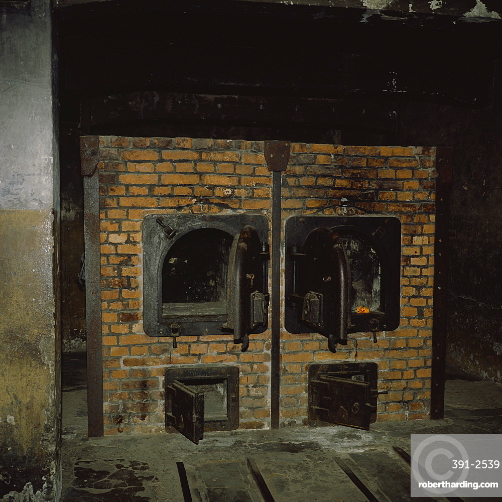 High Quality auschwitz ovens Blank Meme Template