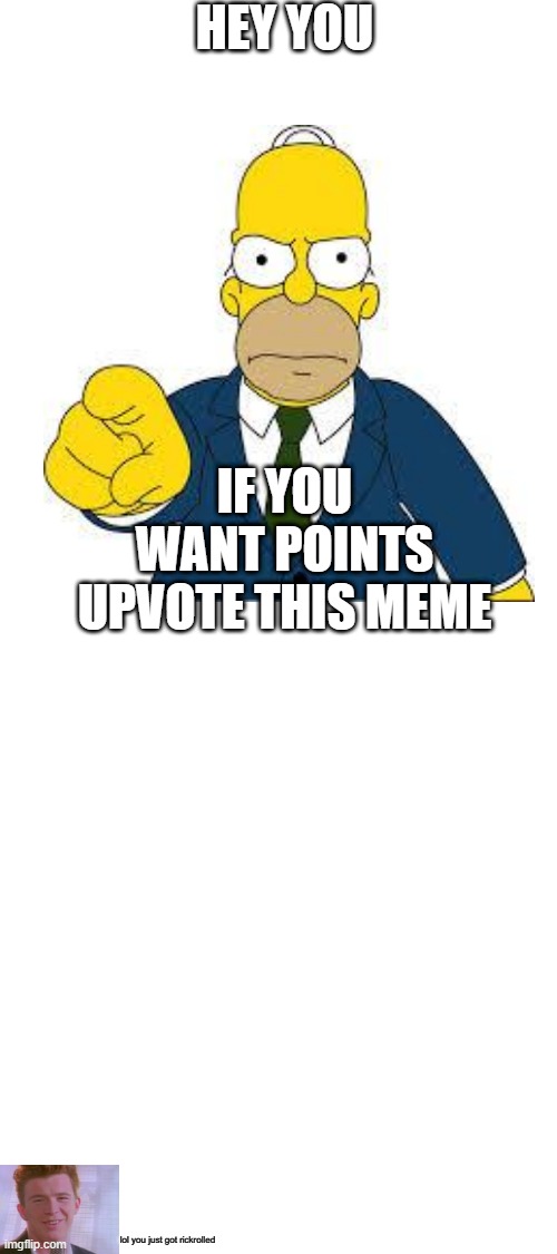 Please? I want a useless profile pic | HEY YOU; IF YOU WANT POINTS UPVOTE THIS MEME; lol you just got rickrolled | image tagged in blank white template,upvote begging,lol,you've fallen right into my trap,rickroll | made w/ Imgflip meme maker