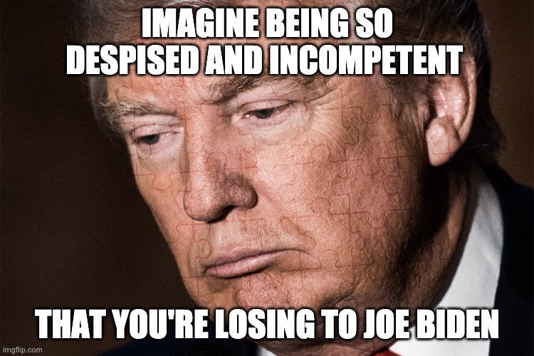Trump Sad | IMAGINE BEING SO DESPISED AND INCOMPETENT; THAT YOU'RE LOSING TO JOE BIDEN | image tagged in trump sad,donald trump,joe biden,election 2020 | made w/ Imgflip meme maker