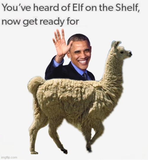 I didn't know where to put it in for middle school or politics | image tagged in obama,llama | made w/ Imgflip meme maker