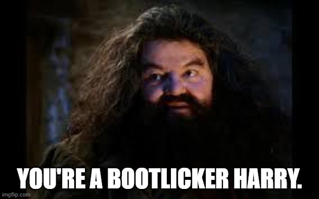 hagrid yer a wizard | YOU'RE A BOOTLICKER HARRY. | image tagged in hagrid yer a wizard | made w/ Imgflip meme maker