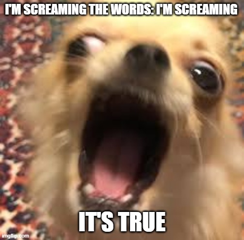 screaming | I'M SCREAMING THE WORDS: I'M SCREAMING; IT'S TRUE | image tagged in screaming | made w/ Imgflip meme maker