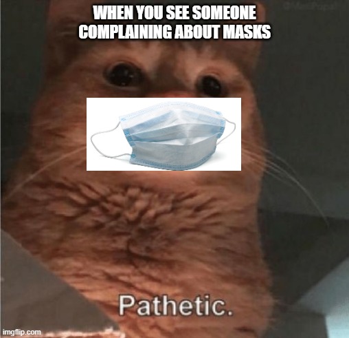 PATHETIC! | WHEN YOU SEE SOMEONE COMPLAINING ABOUT MASKS | image tagged in pathetic cat | made w/ Imgflip meme maker