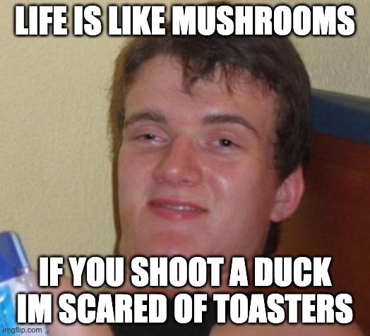 10 Guy Meme | LIFE IS LIKE MUSHROOMS; IF YOU SHOOT A DUCK IM SCARED OF TOASTERS | image tagged in memes,10 guy | made w/ Imgflip meme maker