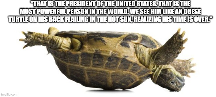 Obese turtle | "THAT IS THE PRESIDENT OF THE UNITED STATES. THAT IS THE MOST POWERFUL PERSON IN THE WORLD. WE SEE HIM LIKE AN OBESE TURTLE ON HIS BACK FLAILING IN THE HOT SUN, REALIZING HIS TIME IS OVER." | image tagged in memes | made w/ Imgflip meme maker