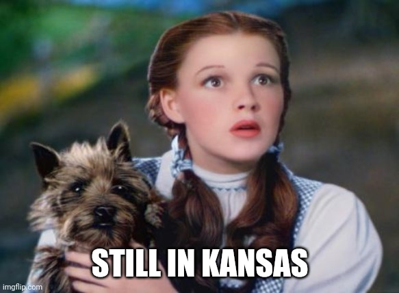 Toto Wizard of Oz | STILL IN KANSAS | image tagged in toto wizard of oz | made w/ Imgflip meme maker
