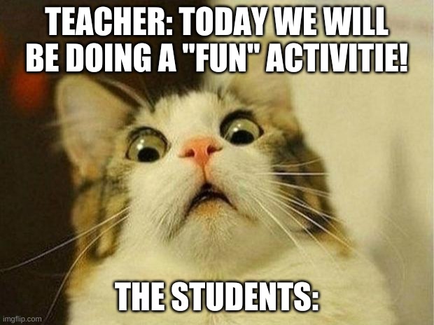 No cap | TEACHER: TODAY WE WILL BE DOING A "FUN" ACTIVITIE! THE STUDENTS: | image tagged in memes,scared cat | made w/ Imgflip meme maker