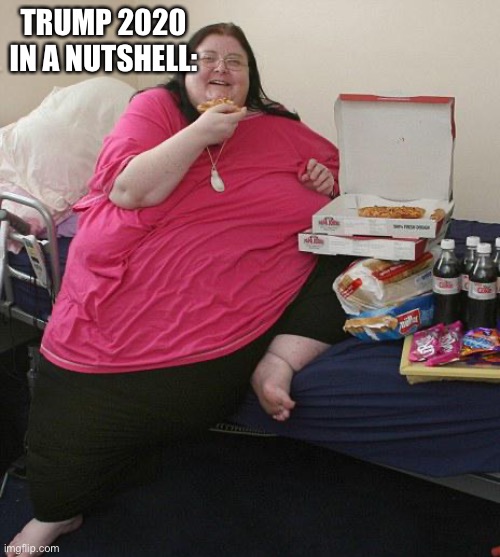 Overweight Pizza Lady | TRUMP 2020 IN A NUTSHELL: | image tagged in overweight pizza lady | made w/ Imgflip meme maker
