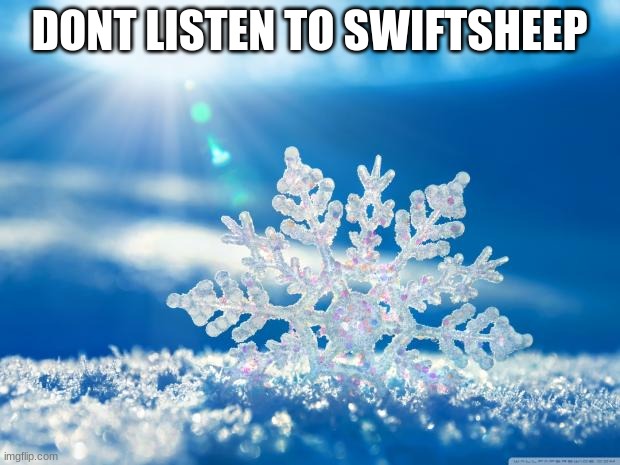 wait... | DONT LISTEN TO SWIFTSHEEP | image tagged in snowflake | made w/ Imgflip meme maker