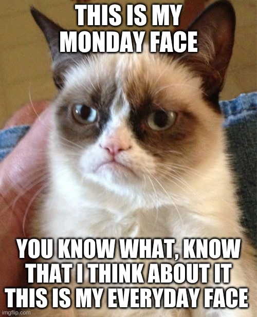 Grumpy Cat | THIS IS MY MONDAY FACE; YOU KNOW WHAT, KNOW THAT I THINK ABOUT IT THIS IS MY EVERYDAY FACE | image tagged in memes,grumpy cat | made w/ Imgflip meme maker