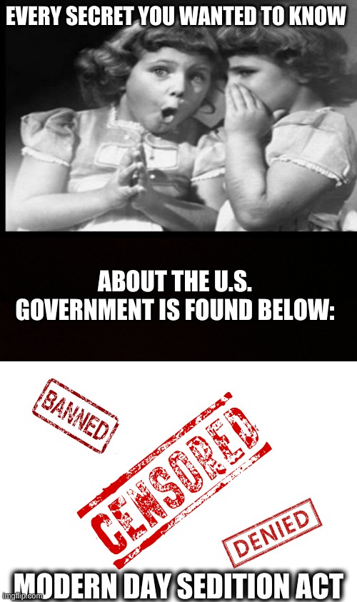 Dirty Democrats | EVERY SECRET YOU WANTED TO KNOW; ABOUT THE U.S. GOVERNMENT IS FOUND BELOW:; MODERN DAY SEDITION ACT | image tagged in blank censor,republican party,democrat party,political meme,politics,funny memes | made w/ Imgflip meme maker