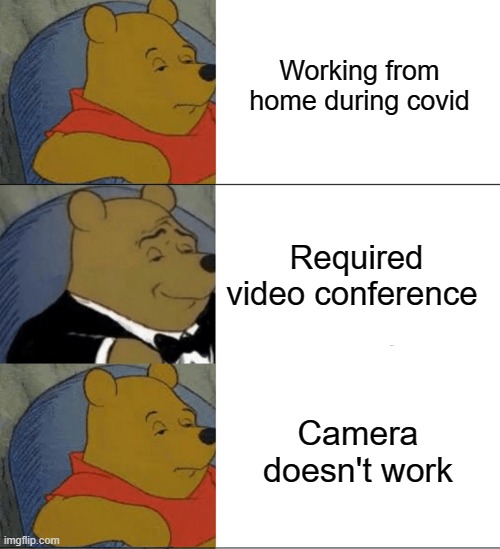 Covid life | Working from home during covid; Required video conference; Camera doesn't work | image tagged in memes,tuxedo winnie the pooh,working from home,meetings | made w/ Imgflip meme maker