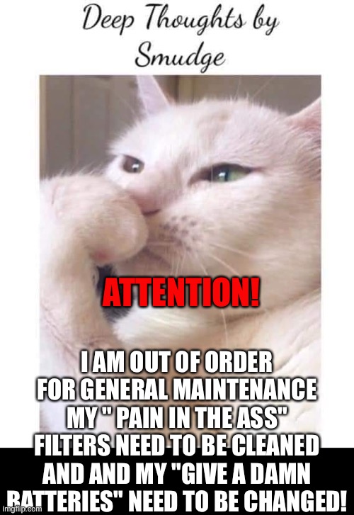 Deep thoughts | I AM OUT OF ORDER FOR GENERAL MAINTENANCE MY " PAIN IN THE ASS" FILTERS NEED TO BE CLEANED AND AND MY "GIVE A DAMN BATTERIES" NEED TO BE CHANGED! ATTENTION! | image tagged in deep-thoughts-by-smudge | made w/ Imgflip meme maker