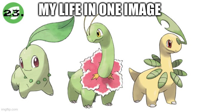 If you dont get it Ill explain | MY LIFE IN ONE IMAGE | made w/ Imgflip meme maker