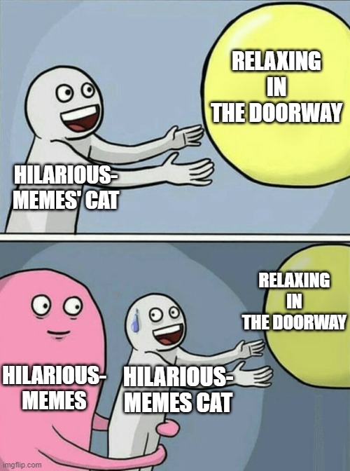 Running Away Balloon Meme | HILARIOUS-
MEMES' CAT RELAXING IN THE DOORWAY HILARIOUS-
MEMES HILARIOUS-
MEMES CAT RELAXING IN THE DOORWAY | image tagged in memes,running away balloon | made w/ Imgflip meme maker