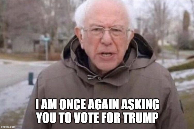 I am once again asking | I AM ONCE AGAIN ASKING YOU TO VOTE FOR TRUMP | image tagged in i am once again asking | made w/ Imgflip meme maker