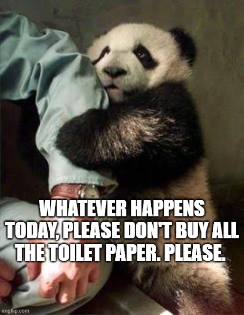 Needy Panda | WHATEVER HAPPENS TODAY, PLEASE DON'T BUY ALL THE TOILET PAPER. PLEASE. | image tagged in needy panda | made w/ Imgflip meme maker