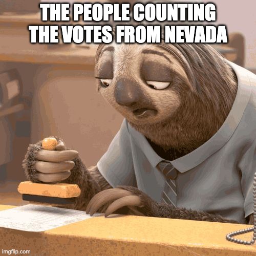 Slow sloth | THE PEOPLE COUNTING THE VOTES FROM NEVADA | image tagged in slow sloth | made w/ Imgflip meme maker