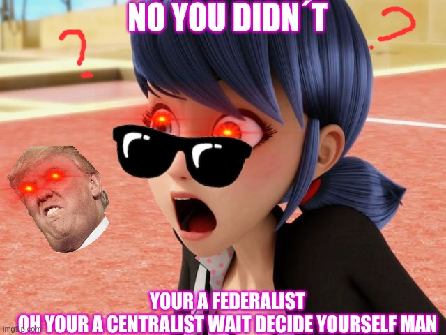 Miraculous Marinette Scared | NO YOU DIDN´T; YOUR A FEDERALIST
OH YOUR A CENTRALIST WAIT DECIDE YOURSELF MAN | image tagged in miraculous marinette scared | made w/ Imgflip meme maker