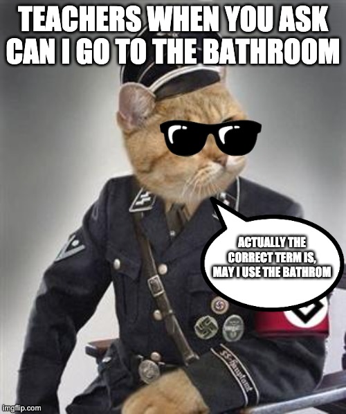 Grammar Nazi Cat | TEACHERS WHEN YOU ASK CAN I GO TO THE BATHROOM; ACTUALLY THE CORRECT TERM IS, MAY I USE THE BATHROM | image tagged in grammar nazi cat | made w/ Imgflip meme maker