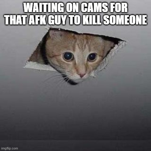 Ceiling Cat | WAITING ON CAMS FOR THAT AFK GUY TO KILL SOMEONE | image tagged in among us | made w/ Imgflip meme maker