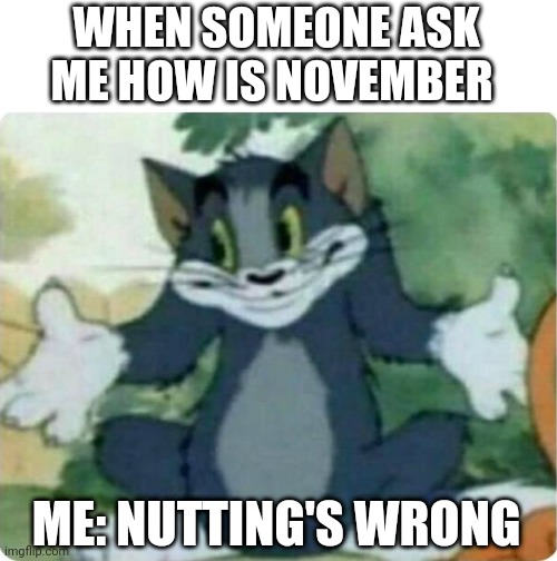 Nothings wrong with November | WHEN SOMEONE ASK ME HOW IS NOVEMBER; ME: NUTTING'S WRONG | image tagged in tom shrugging | made w/ Imgflip meme maker