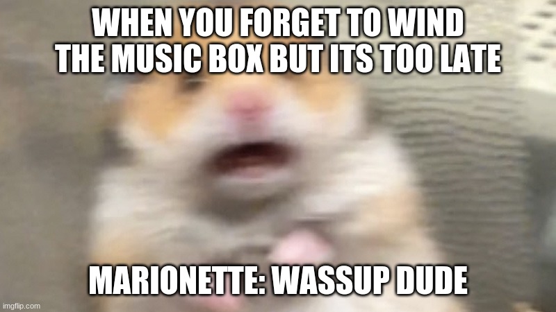 Fnaf  memes | WHEN YOU FORGET TO WIND THE MUSIC BOX BUT ITS TOO LATE; MARIONETTE: WASSUP DUDE | image tagged in fnaf2,scared hamster | made w/ Imgflip meme maker