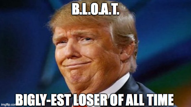 45*, #TRE45ON | B.L.O.A.T. BIGLY-EST LOSER OF ALL TIME | image tagged in usa,democracy,bye felicia | made w/ Imgflip meme maker