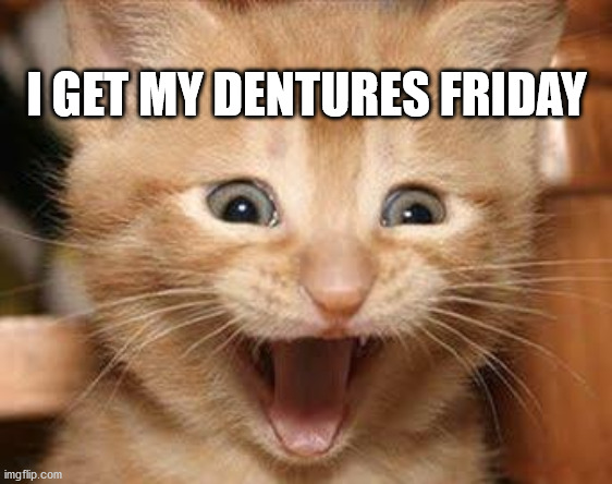 Excited Cat | I GET MY DENTURES FRIDAY | image tagged in memes,excited cat | made w/ Imgflip meme maker