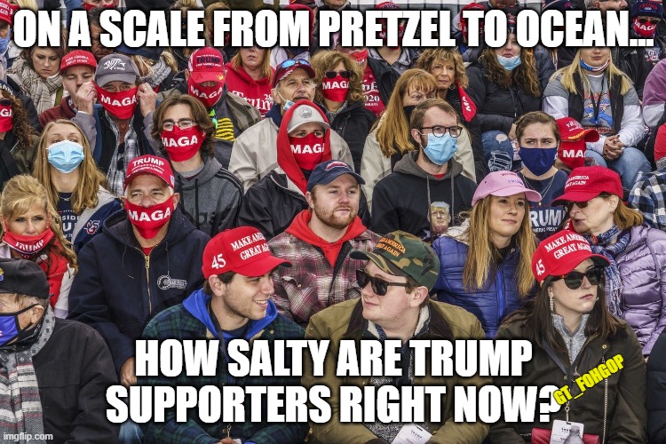 Right Around Margherita Rim I Think | ON A SCALE FROM PRETZEL TO OCEAN... HOW SALTY ARE TRUMP SUPPORTERS RIGHT NOW? GT_FOHGOP | image tagged in donald trump,trump supporters,salty | made w/ Imgflip meme maker