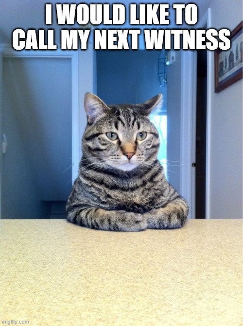 yup | I WOULD LIKE TO CALL MY NEXT WITNESS | image tagged in memes,take a seat cat | made w/ Imgflip meme maker