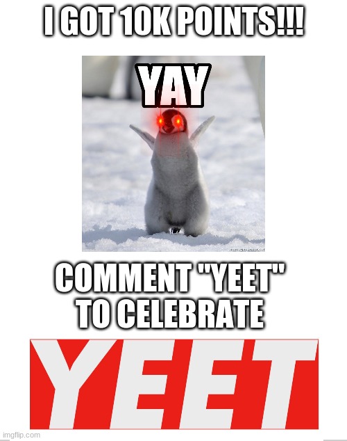 yeetyeetoof 10k | I GOT 10K POINTS!!! COMMENT "YEET" TO CELEBRATE | image tagged in blank white template,yay,yeet | made w/ Imgflip meme maker
