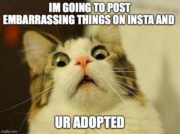 Scared Cat | IM GOING TO POST EMBARRASSING THINGS ON INSTA AND; UR ADOPTED | image tagged in memes,scared cat | made w/ Imgflip meme maker