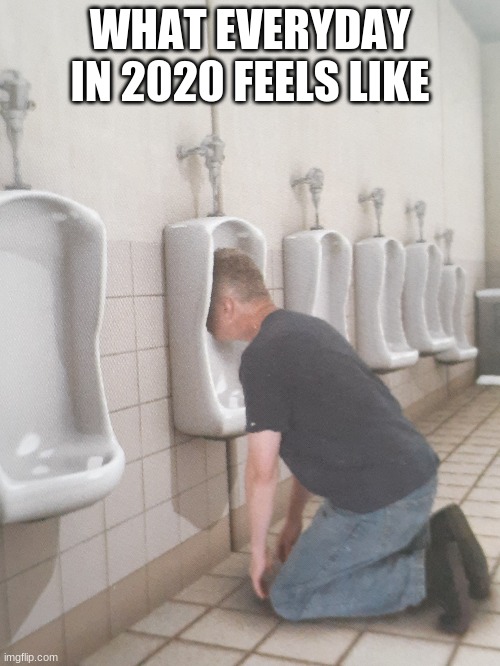 WHAT EVERYDAY IN 2020 FEELS LIKE | image tagged in fun | made w/ Imgflip meme maker