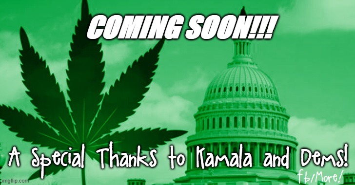 COMING SOON!!! A Special Thanks to Kamala and Dems! | image tagged in pot,kamala harris | made w/ Imgflip meme maker