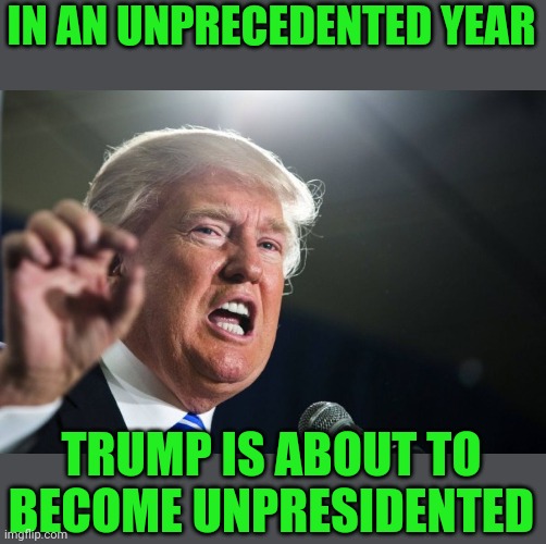 Even if the Demmies cheated | IN AN UNPRECEDENTED YEAR; TRUMP IS ABOUT TO BECOME UNPRESIDENTED | image tagged in donald trump | made w/ Imgflip meme maker