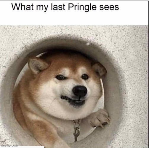 pringles | image tagged in bad pun dog,pringles | made w/ Imgflip meme maker