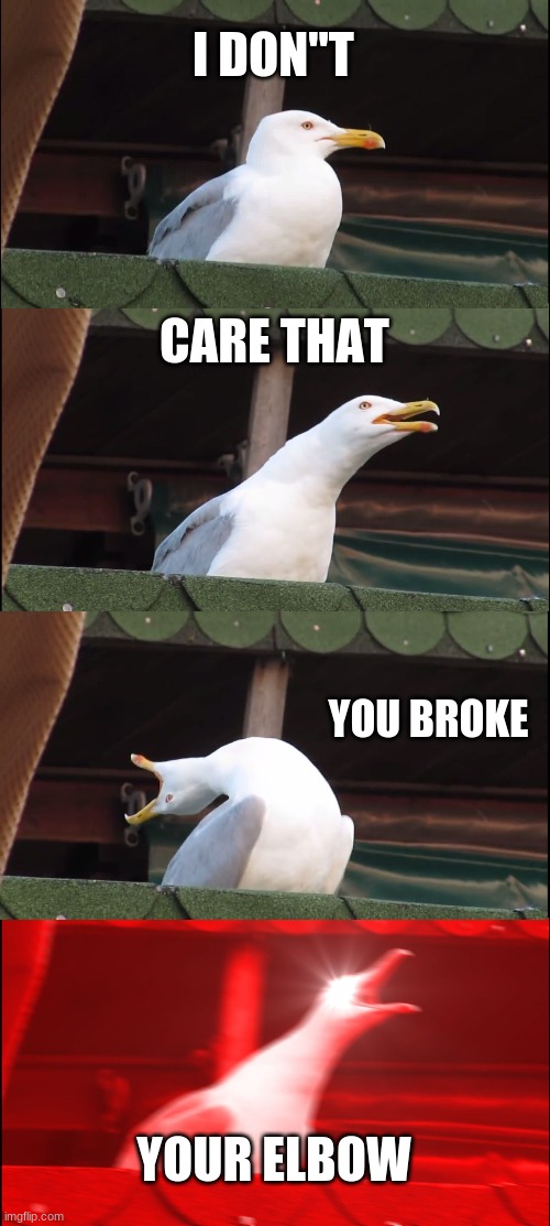I dont care | I DON"T; CARE THAT; YOU BROKE; YOUR ELBOW | image tagged in memes,inhaling seagull | made w/ Imgflip meme maker