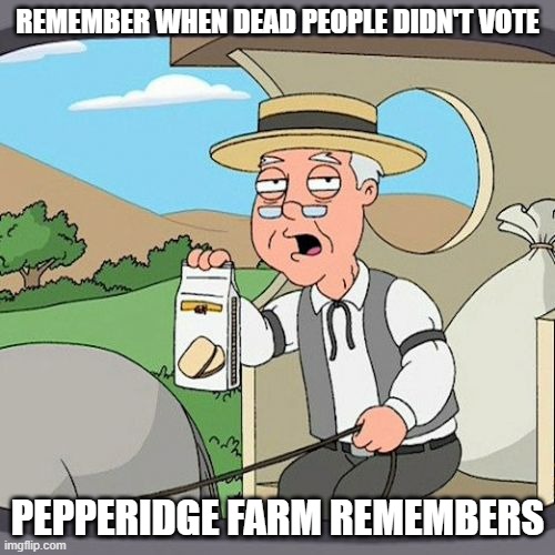 Pepperidge Farm Remembers | REMEMBER WHEN DEAD PEOPLE DIDN'T VOTE; PEPPERIDGE FARM REMEMBERS | image tagged in memes,pepperidge farm remembers | made w/ Imgflip meme maker