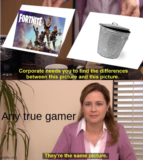 Fortnite trash | Any true gamer | image tagged in memes,they're the same picture | made w/ Imgflip meme maker