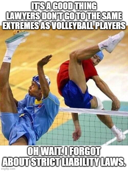 Strict Liability Volleyball | IT'S A GOOD THING LAWYERS DON'T GO TO THE SAME EXTREMES AS VOLLEYBALL PLAYERS; OH WAIT. I FORGOT ABOUT STRICT LIABILITY LAWS. | image tagged in strict liability,dementia justice,dementia | made w/ Imgflip meme maker