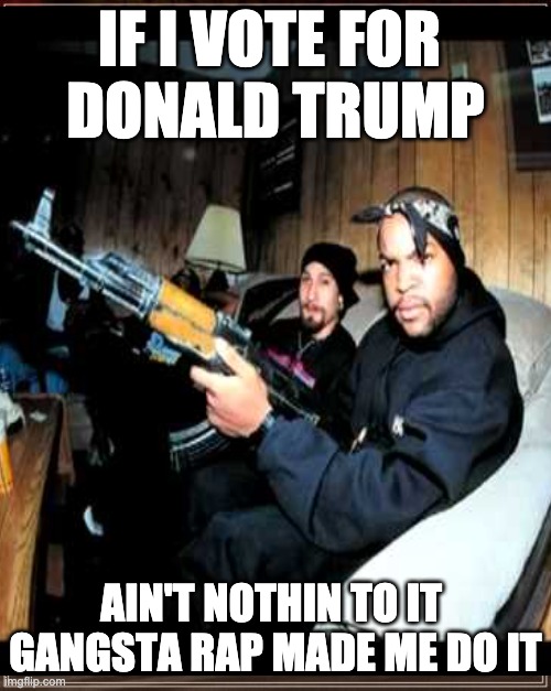 Gangsta Rap Made Me Do It!!! | IF I VOTE FOR 
DONALD TRUMP; AIN'T NOTHIN TO IT 
GANGSTA RAP MADE ME DO IT | image tagged in ice cube,donald trump | made w/ Imgflip meme maker