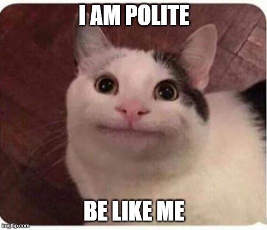 politeness good | I AM POLITE; BE LIKE ME | image tagged in polite cat | made w/ Imgflip meme maker
