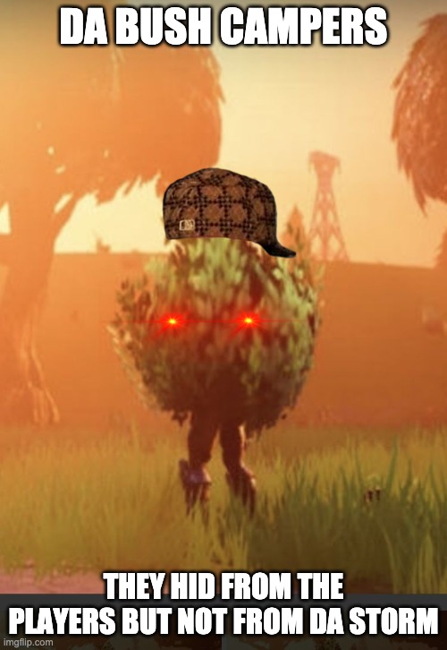 bush meme | DA BUSH CAMPERS; THEY HID FROM THE PLAYERS BUT NOT FROM DA STORM | image tagged in fortnite bush | made w/ Imgflip meme maker